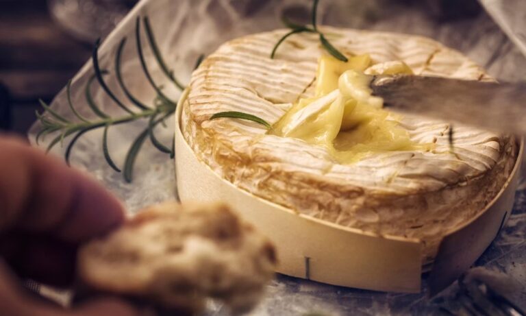 Phô Mai Pháp: Phô Mai Brie de Meaux Niềm Tự Hào Vùng Brie | | FoodDaily.vn